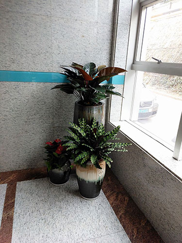 組合盆花13