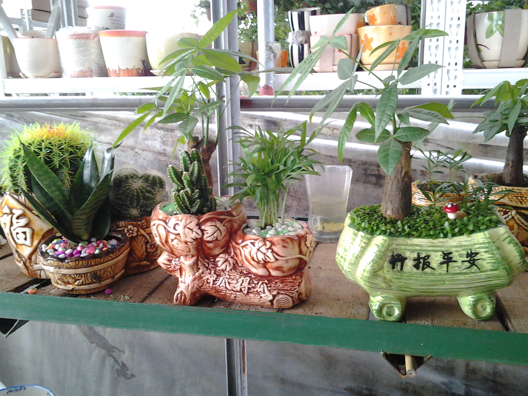 小盆組合