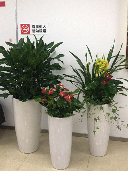 高檔簡歐組合