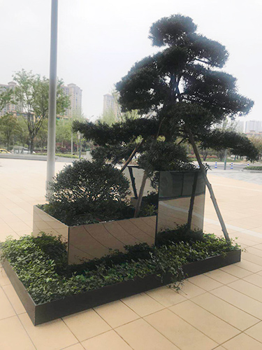 戶外高檔組景
