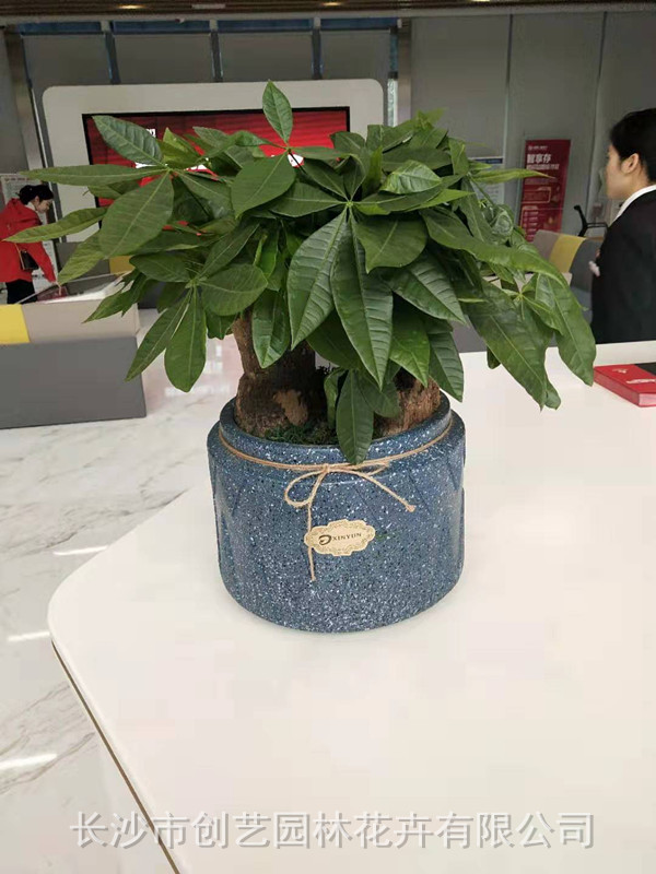 高檔小組合