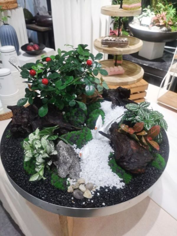 高檔大組合