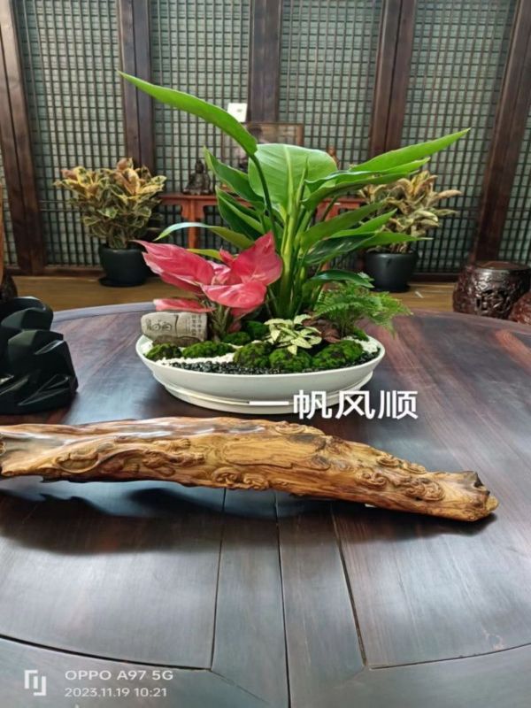 高檔大組合