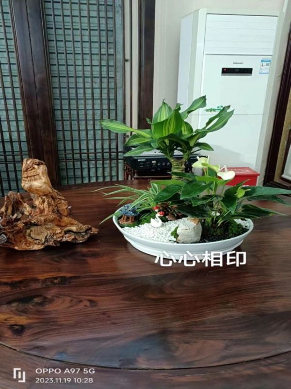 高檔大組合