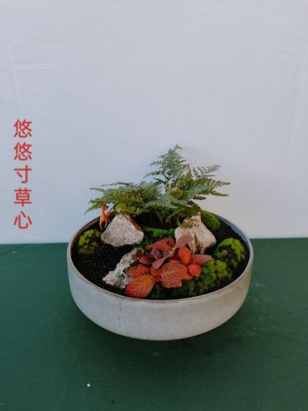 高檔大組合