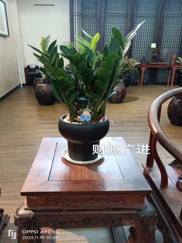 高檔大組合