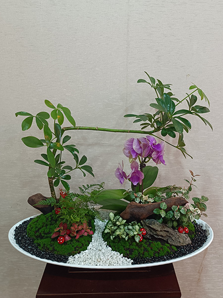 組合盆花