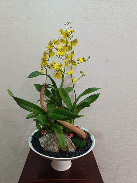 組合盆花