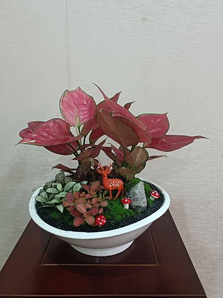 組合盆花