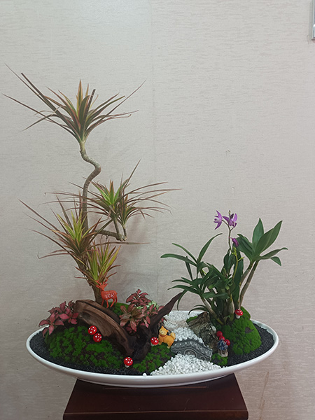 組合盆花