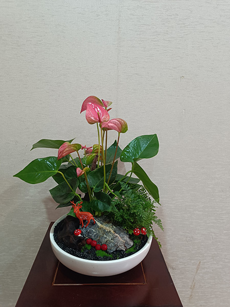 組合盆花