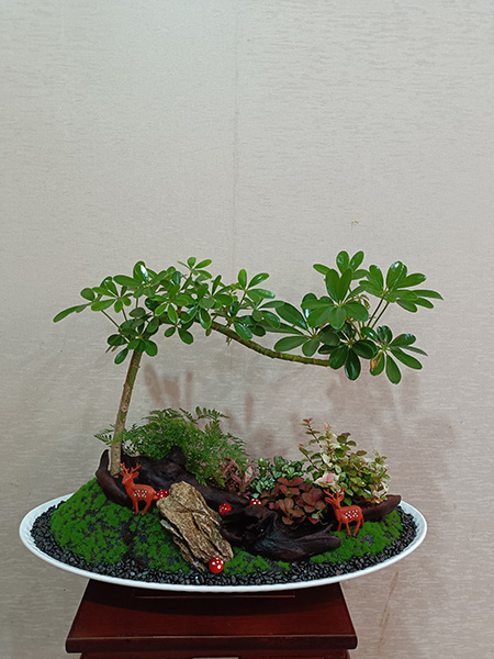 組合盆花