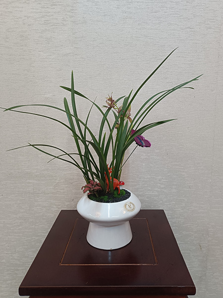 組合盆花