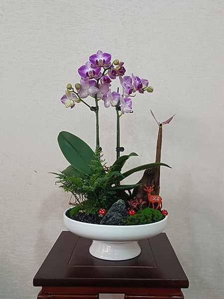 組合盆花