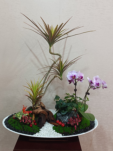組合盆花