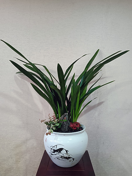 組合盆花
