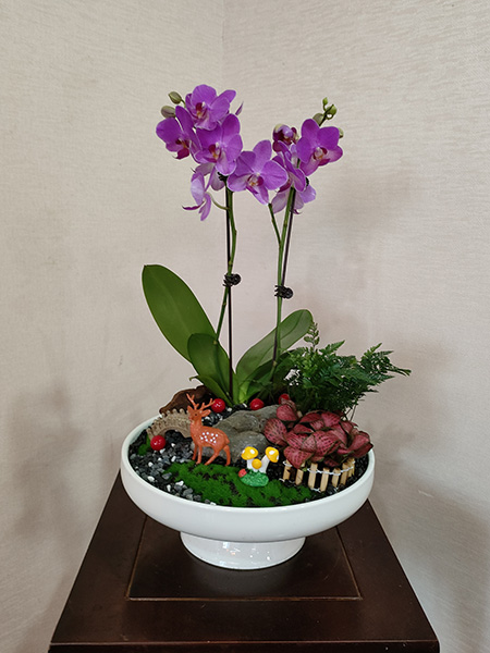 組合盆花