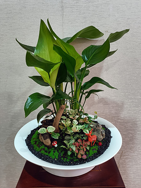 組合盆花