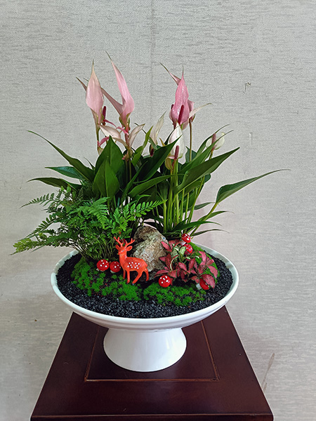 組合盆花