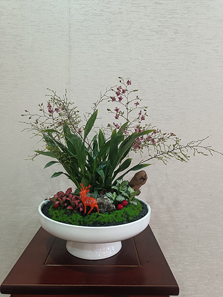 組合盆花