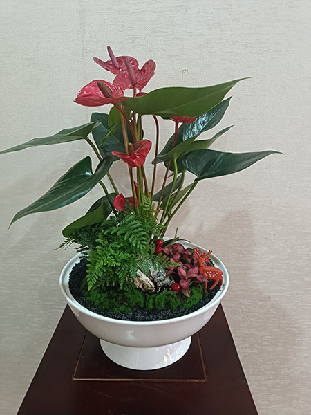 組合盆花
