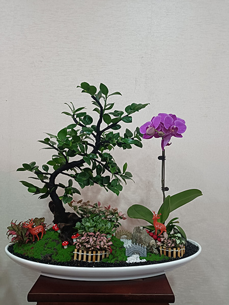組合盆花