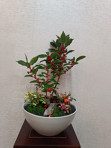 組合盆花
