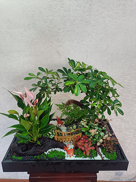 組合盆花