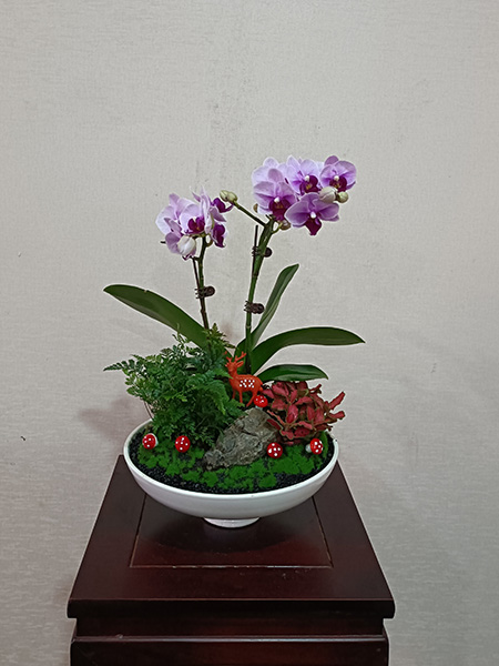 組合盆花
