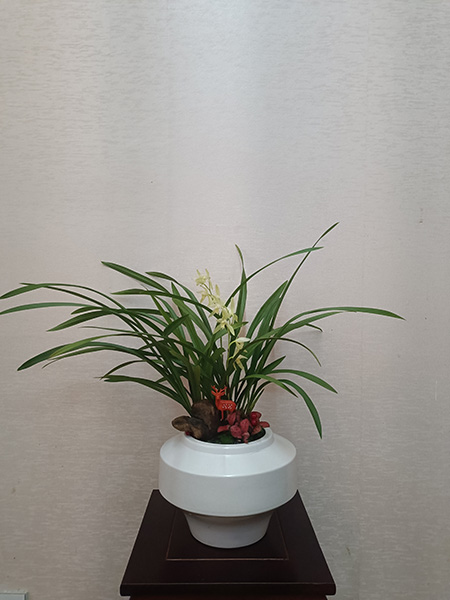 組合盆花