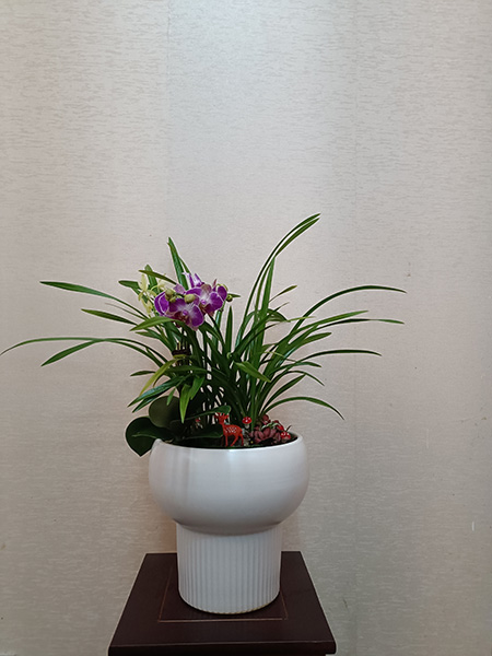 組合盆花