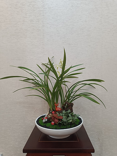 組合盆花