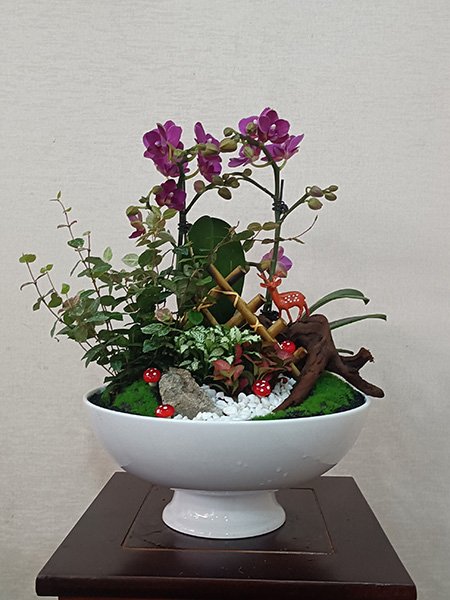 組合盆花