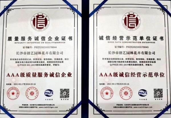 個性花卉產(chǎn)品租賃_個性花卉產(chǎn)品批發(fā)零售_高端組景組盆花卉專業(yè)租貨_長沙市創(chuàng)藝園林花卉有限公司