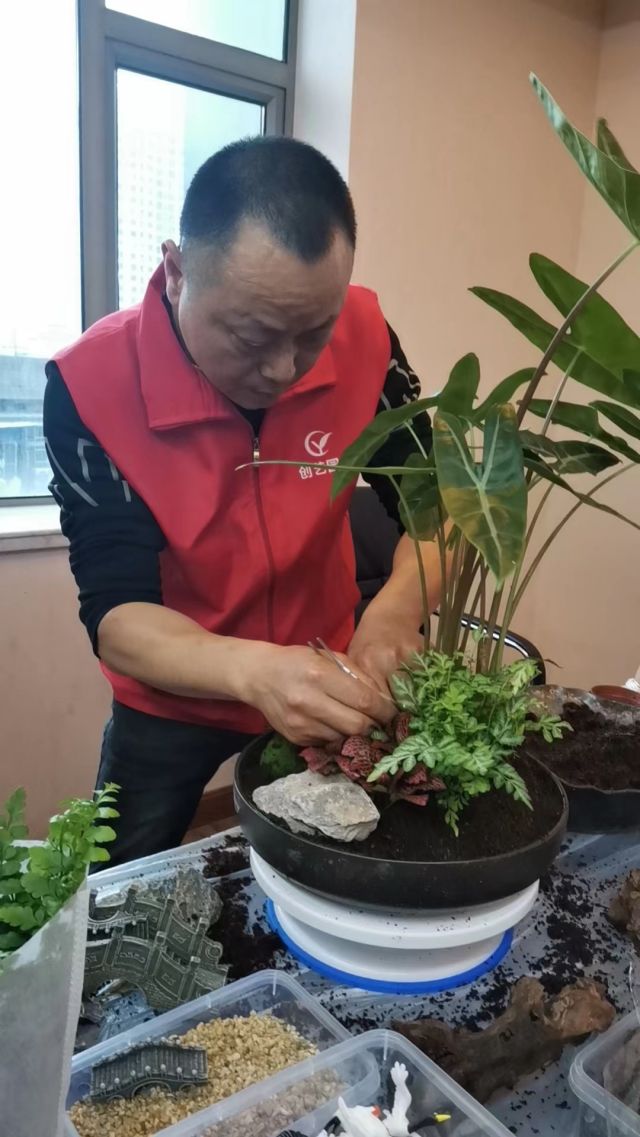 個(gè)性花卉產(chǎn)品租賃_個(gè)性花卉產(chǎn)品批發(fā)零售_高端組景組盆花卉專業(yè)租貨_長(zhǎng)沙市創(chuàng)藝園林花卉有限公司