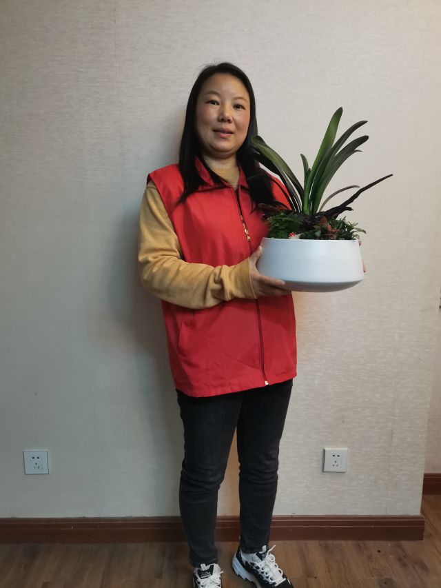 個(gè)性花卉產(chǎn)品租賃_個(gè)性花卉產(chǎn)品批發(fā)零售_高端組景組盆花卉專業(yè)租貨_長(zhǎng)沙市創(chuàng)藝園林花卉有限公司