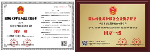 個性花卉產(chǎn)品租賃_個性花卉產(chǎn)品批發(fā)零售_高端組景組盆花卉專業(yè)租貨_長沙市創(chuàng)藝園林花卉有限公司
